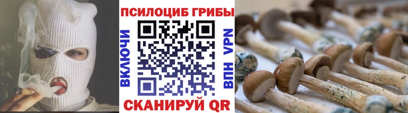 Галлюциногенные грибы Magic Shrooms  наркошоп  Пыталово 